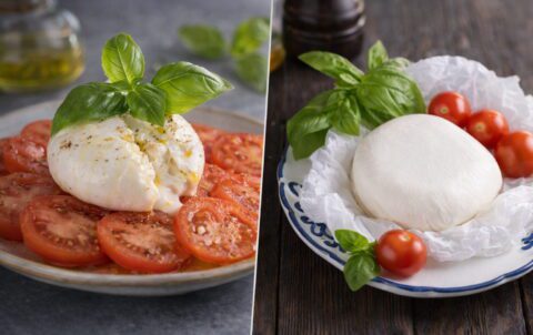 Burrata vs mozzarella fior di latte comparație vizuală între cele două tipuri de brânză în preparate italiene